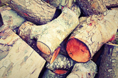 Conasta wood burning boiler costs